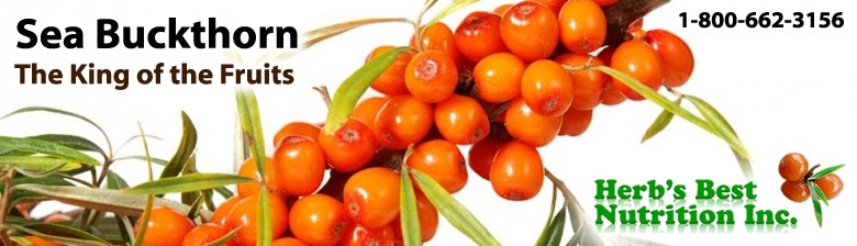 Buckthorn Oil Canada